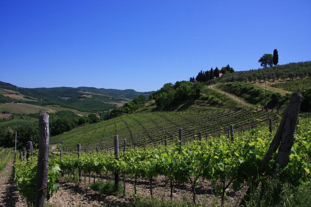 سان جيمينيانو Il Borghetto Tuscan Holidays المظهر الخارجي الصورة